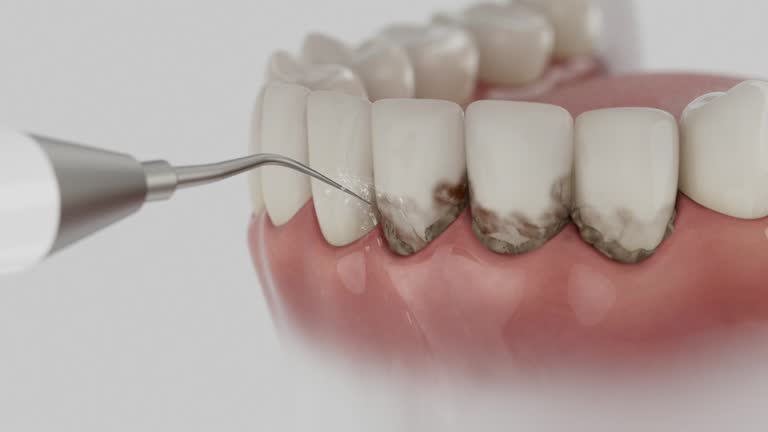 Reliable Dental contractor in Jasper County County, SC by Dentist Open Now